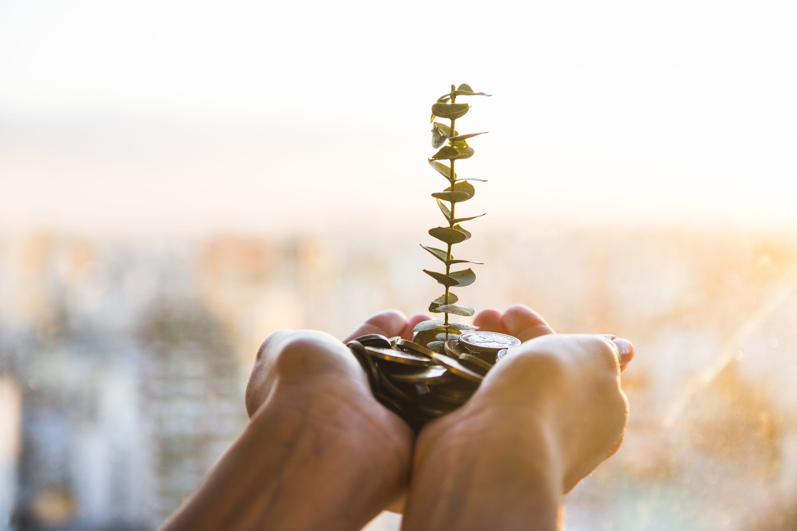 Incentive Schemes for Maltese Companies