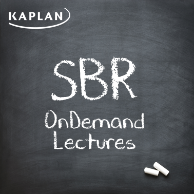 SBR OnDemand Lectures