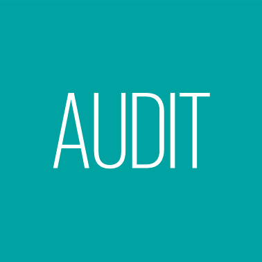 Audit Learning Suite