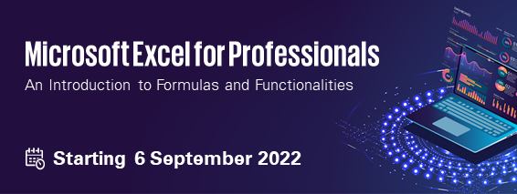 Microsoft Excel for Professionals: An Introduction to Formulas and Functionalities