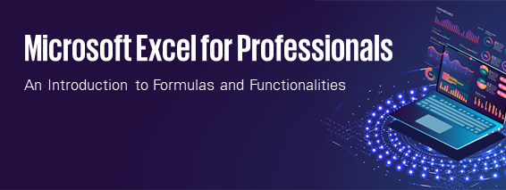 Microsoft Excel for Professionals: An Introduction to Formulas and Functionalities