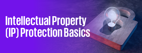 Intellectual Property (IP) Protection Basics